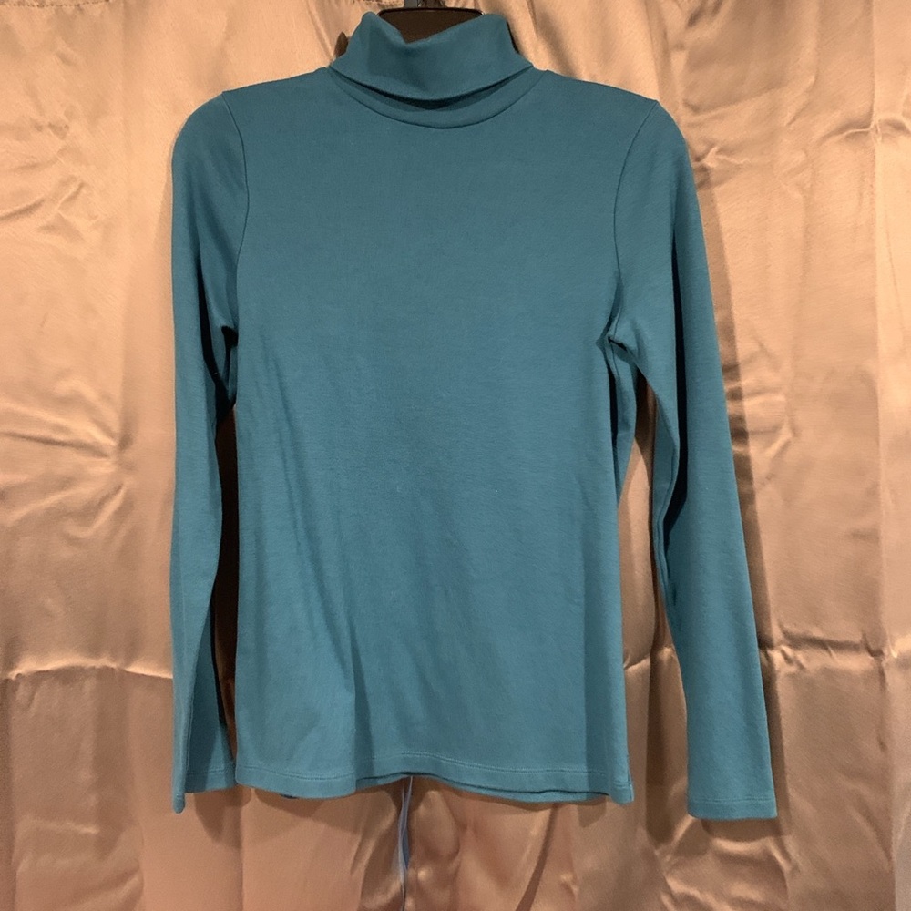 Turquoise Turtleneck
